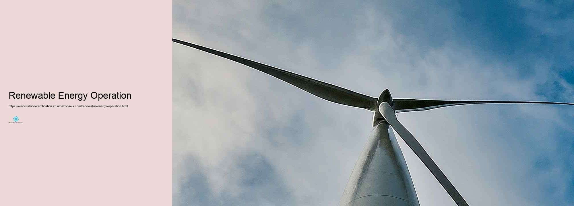 The Value of Wind Wind Generator Certification in the Renewable Resource Market