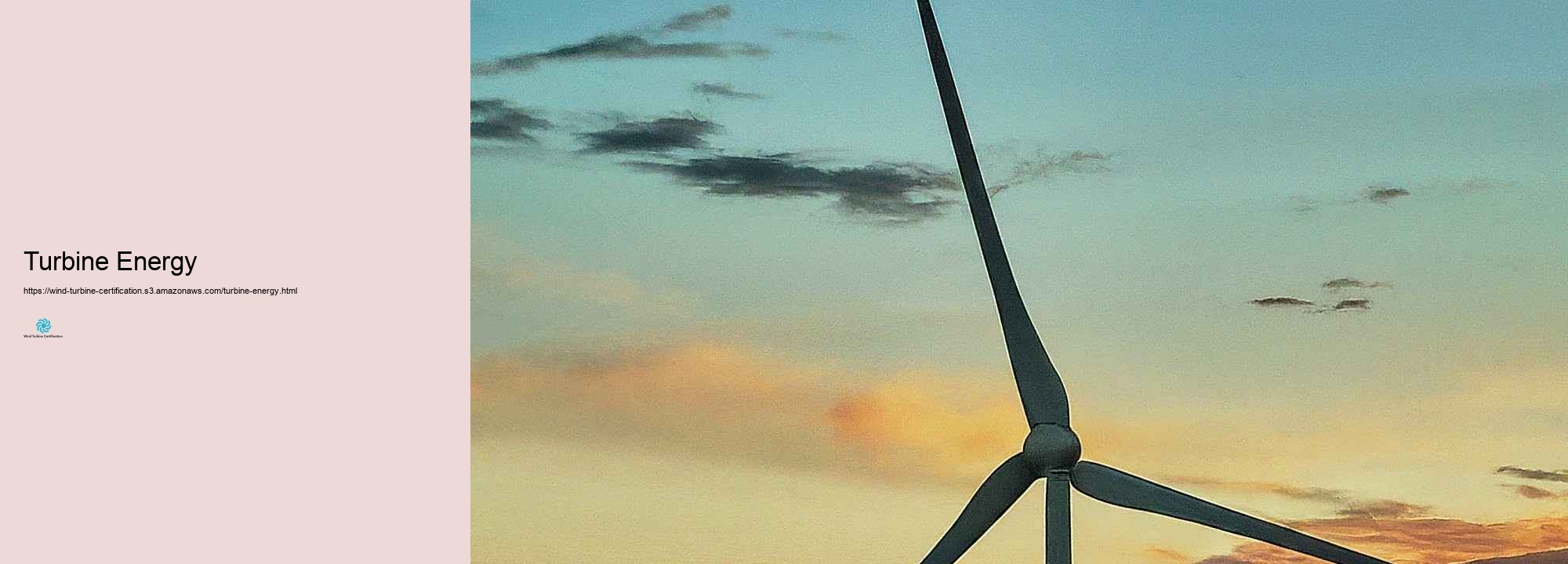 The Worth of Wind Turbine Qualification in the Renewable resource Market