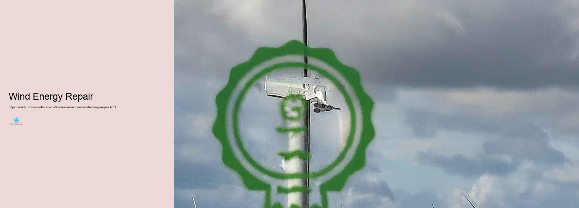 Leading Certification Bodies for Wind Generator Professionals